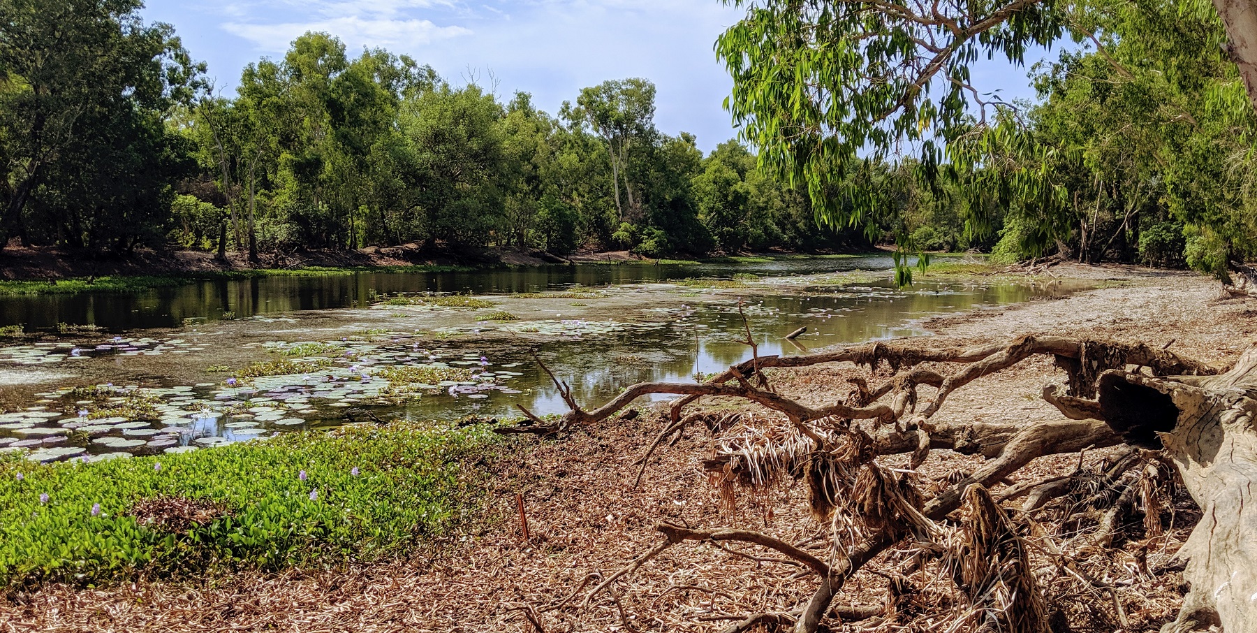 Lagoon at the Crossing