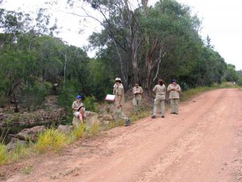 Uni students assisting with survey at Herberton.